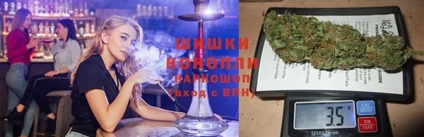 шишки Бикин