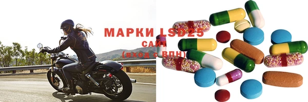 шишки Бикин