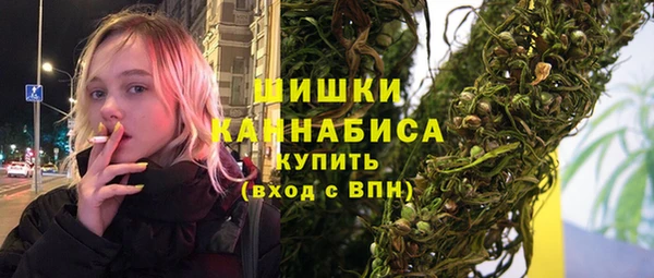 ПСИЛОЦИБИНОВЫЕ ГРИБЫ Билибино