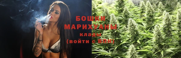 шишки Бикин