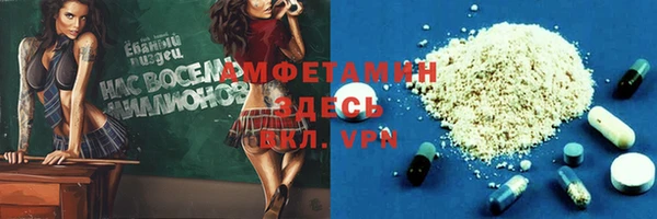 шишки Бикин