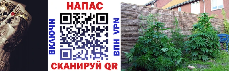 Каннабис Bruce Banner купить закладку Дегтярск